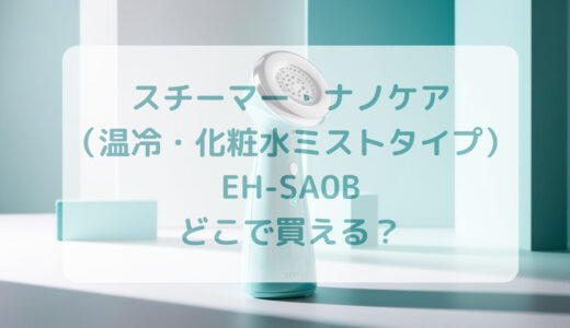 スチーマー・ナノケア（温冷・化粧水ミストタイプ）EH-SA0Bはどこで買える？最安値で売ってるのはコストコ？ドンキ？